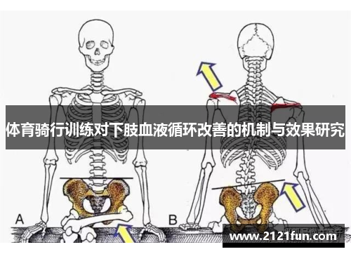 体育骑行训练对下肢血液循环改善的机制与效果研究